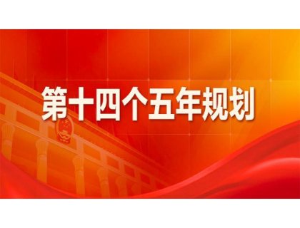 大发-中国一站式体育服务平台为“十四五”规划建言献策 